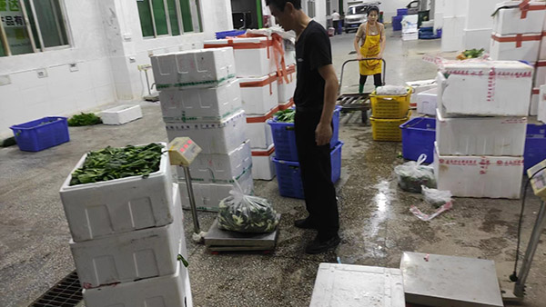 供應鏈碳足跡 供應鏈碳足跡