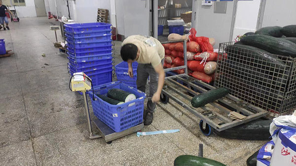 行業碳足跡 行業碳足跡